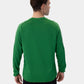 JAKO FC Lauterach Sweat Classico - green 8850